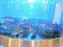 -蛙一刀·麻椒鱼火锅(金仙桥店)