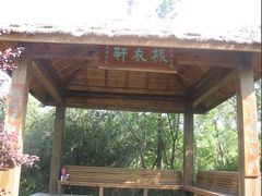 -吴淞炮台湾湿地森林公园烧烤区