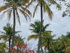 -白沙门生态公园