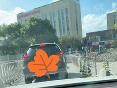 -上海中医药大学附属曙光医院(东部)