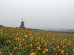 -紫颐香薰山谷景区