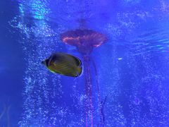 -沈阳海洋探索中心