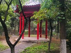 -槐房钓鱼公园