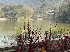 景点-青城山
