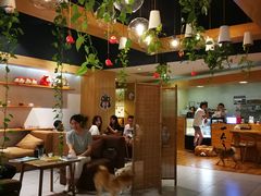 -柴务处·柴犬主题狗咖