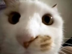 -Apple零售店(成都太古里店)