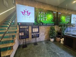 -阅年轻·AI家庭健康体质调理