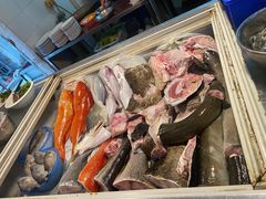 野生石斑鱼-金砂阿洲鱼册店