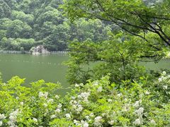 -秦岭终南山世界地质公园翠华山景区