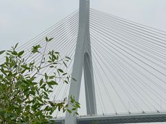 -芒洲湿地公园