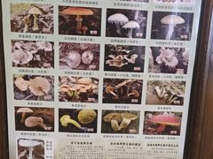 -大理董·董家小厨野生菌火锅(古城旗舰店)