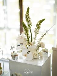 -蘭club婚礼策划