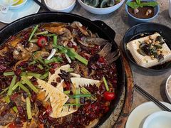 -老板恋上鱼(恒隆广场店)