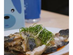 清蒸石斑鱼-老字号蛇口德记烧腊饭店·海鲜加工