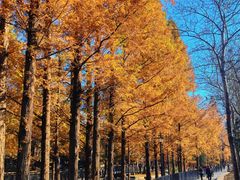 -白水寺森林公园
