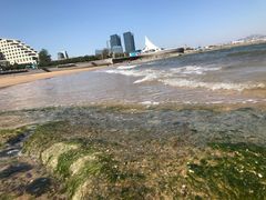 -日照灯塔风景区