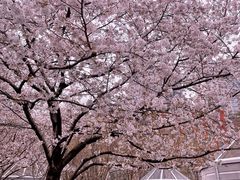 -上海体育场(地铁站)