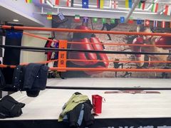 -津武堂散打搏击俱乐部(河西店)