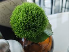 -广州四季酒店·意珍·意式自助餐