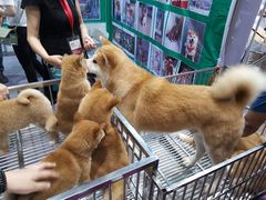 -重庆国际会议展览中心