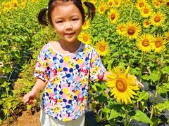 -汉长安城未央宫国家考古遗址公园