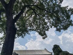 -颐和园