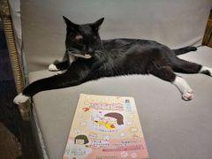 -小时光咖啡馆(开森度假森林店)