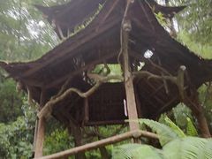 -青城山