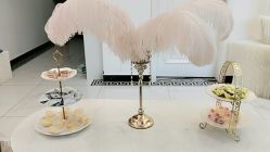 -缤卡妮肌肤管理中心