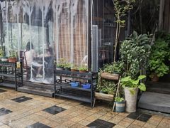 -先机泉水鸡汤(南山老君洞店)
