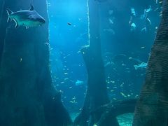-福州罗源湾海洋世界旅游区