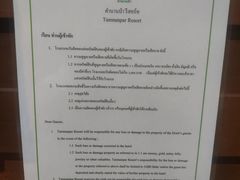 -绿光森林餐厅