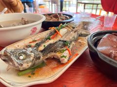 -海堤葡萄园中小学生研学基地