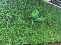 -渡海小渔村.老辈日照菜