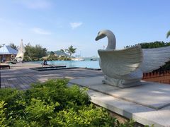 金海湾嘉华度假酒店-惠州金海湾嘉华度假酒店