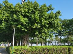 -集美鳌园景区