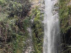 -莫里热带雨林景区