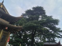 -上海东林寺(金山区)
