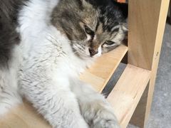 -五月木作·DIY木作文创体验店(北京路店)