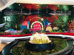 -广州白云国际机场-T2航站楼