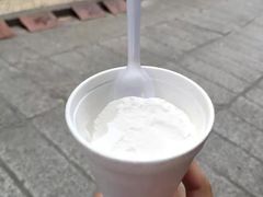 -洪馨椰子