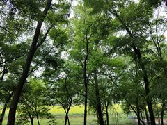 -大连铭湖国际观光牧场