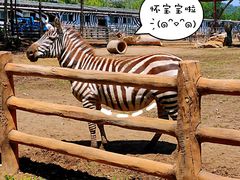 -大连森林动物园