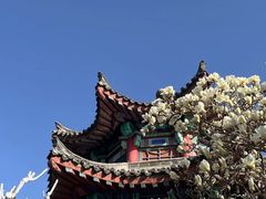 -济南大明湖景区