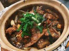 啫啫甲鱼煲-金龙·打边炉(南京西路店)