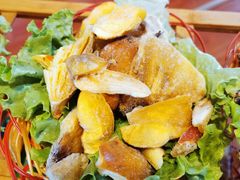 -云上珍野生菌(兴仁店)