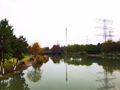 -九里河湿地公园