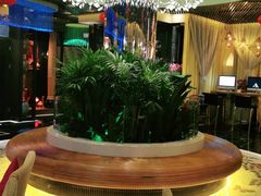 -润园四季椰子鸡火锅(海上世界店)