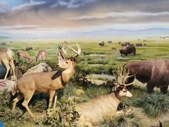 -陕西自然博物馆