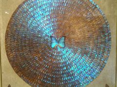 -上海昆虫博物馆